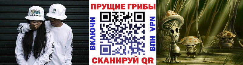 Псилоцибиновые грибы ЛСД  Горячеводский 